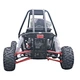 adult go kart